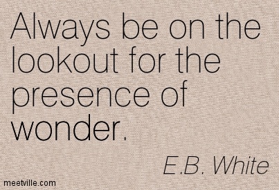 always-be-on-the-lookout-for-the-presence-of-wonder