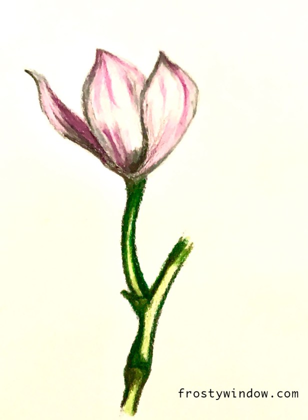 flowerart_frostywindow copy.jpg