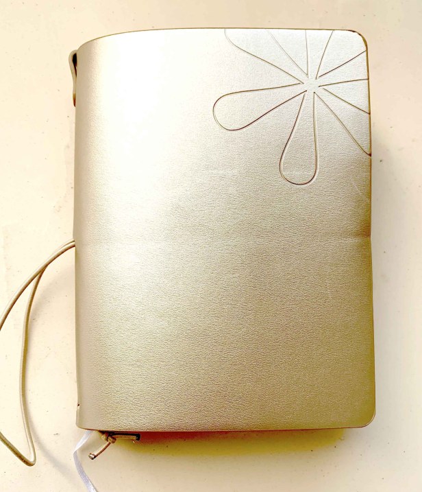 erin-condren-on-the-go-portfolio-champagne